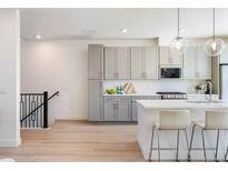 Modern kitchen boasts sleek gray cabinets, stainless appliances, quartz counters, and stylish pendant lighting at 22 Oneida Ct, Denver, CO 80230