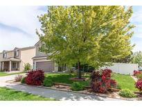 Charming home with a well-maintained lawn, mature tree, and colorful landscaping adding to its curb appeal at 5400 Perth St, Denver, CO 80249