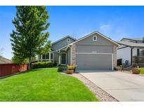 Charming single-Gathering home boasts a well-manicured lawn, mature tree, and inviting curb appeal on a sunny day at 18496 Keyser Creek Ave, Parker, CO 80134