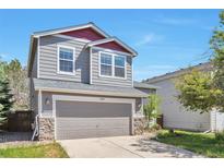 Charming two-story home featuring gray siding, a gray garage door, stone accents, and a well-manicured lawn at 9889 Aftonwood St, Highlands Ranch, CO 80126
