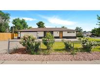 Charming home featuring a well-maintained lawn, blossoming rose bushes, and a classic ranch-style exterior at 7380 Utica St, Westminster, CO 80030