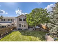 A well-manicured backyard featuring a lush green lawn, a large tree, patio seating, and a hot tub at 10908 Oakshire Ave, Highlands Ranch, CO 80126