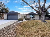 Charming brick home featuring a modern garage door and well-maintained front yard at 7041 S Franklin St, Centennial, CO 80122