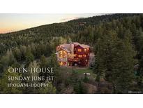 Stunning mountain home surrounded by trees, perfect for nature lovers, with 