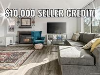 Inviting living room featuring a fireplace, plush seating, and a stylish rug with a seller credit offer at 540 S Forest St # 6-203, Denver, CO 80246
