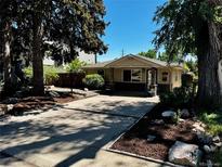 Charming single-story home with a well-manicured lawn and large driveway, shaded by mature trees at 404 S Jasmine St, Denver, CO 80224
