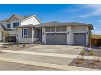 Charming single-story home with a spacious three-car garage and well-maintained landscaping at 25224 E Warren Pl, Aurora, CO 80018