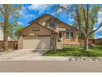 Inviting two-story home with a lush green lawn, attached two-car garage, and a well-maintained yard at 1260 Ascot Ave, Highlands Ranch, CO 80126