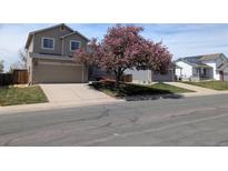 Charming two-story home with a well-maintained front yard and blossoming tree at 4483 S Fundy St, Centennial, CO 80015