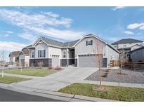 Charming single-Gathering home featuring neutral siding, a well-manicured lawn, and a spacious two-car garage at 20272 Terrace View Dr, Parker, CO 80134