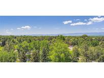 Lush treetop aerial view under blue sky with distant mountain range at 1900 E Girard Pl # 908, Englewood, CO 80113