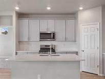 Modern kitchen features an island with sink, stainless steel appliances, and gray cabinetry at 17557 E 89Th Way, Commerce City, CO 80022