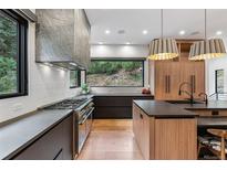 Modern kitchen featuring stainless steel appliances, dark cabinets, and large window with lush greenery view at 6123 Buffalo Run, Littleton, CO 80125