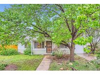 Inviting home showcasing a mature tree, tidy lawn, and a paved walkway leading up to the welcoming entrance at 6260 W 45Th Pl, Wheat Ridge, CO 80033