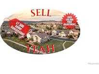 Wonderful community view with seller concession and a price adjustment being offered! at 1983 Candleglow St, Castle Rock, CO 80109