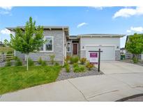 Charming single-story home with stone accents, landscaped yard, and a well-manicured lawn at 5290 Silver Hare Ct, Castle Rock, CO 80104