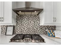 A detailed look at the kitchen stove with stylish backsplash and range hood at 5839 Hay Market Trl, Parker, CO 80134