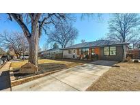 Charming single story home with a well manicured lawn, mature trees, and a long drive way at 1150 S Forest St, Denver, CO 80246