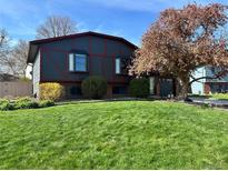 Charming home featuring well-maintained lawn, mature trees, and unique dark gray and red exterior paint scheme at 12452 W Dumbarton Pl, Morrison, CO 80465