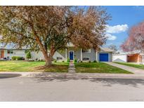 Charming single-Gathering home with well-maintained lawn and mature tree offering shade and curb appeal at 3841 W Quinn Pl, Denver, CO 80236