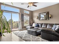 Cozy living room featuring a comfortable sectional sofa, plush rug, and scenic views from large windows at 8922 S Tuscany Ln, Highlands Ranch, CO 80130