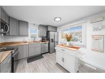 Modern kitchen with gray cabinets, stainless steel appliances, and an island at 1502 Carmelita Ct, Platteville, CO 80651