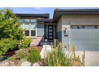 Charming home featuring a modern front door, well-maintained landscaping, and beautiful blue siding at 817 Backcountry Ln, Highlands Ranch, CO 80126