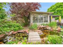 Lush backyard with a serene pond, featuring a small wooden bridge and vibrant greenery at 5323 E Sandpiper Ave, Castle Rock, CO 80104