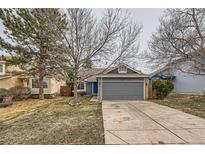 Charming gray home featuring an attached two-car garage and a well-maintained front lawn on an overcast day at 9526 Pinebrook St, Highlands Ranch, CO 80130