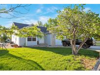 Charming single-Gathering home featuring a lush front lawn, mature trees, and a welcoming entrance at 1801 Aspen St, Fort Lupton, CO 80621