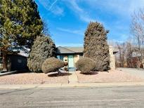 Cute ranch home with well-manicured landscaping and a spacious yard at 2261 W 73Rd Pl, Denver, CO 80221