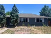 Charming single-story home with gray siding, white trim, and mature landscaping at 606 Tennyson St, Denver, CO 80204