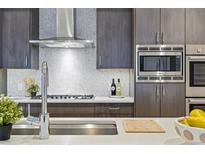 Modern kitchen featuring stainless steel appliances, gray cabinets, backsplash and a stylish countertop at 250 Columbine St # 310, Denver, CO 80206