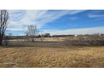 A view of the property showcasing the land in front of the buildings at 15600 E 33Rd Pl, Aurora, CO 80011