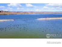 Scenic lake view with abundant wildlife and serene blue waters under a partly cloudy sky at 5425 County Rd 32 # 27, Mead, CO 80504