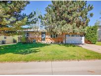 Charming single-story home with brick accents, mature trees, and a well-maintained lawn at 13133 Regulus Dr, Lone Tree, CO 80124
