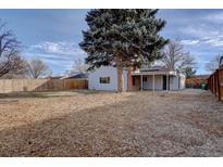 Spacious backyard featuring a large tree, lawn, and a wooden fence, perfect for outdoor activities at 731 Uvalda St, Aurora, CO 80011