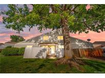 Inviting two-story townhome featuring lush green lawn and mature trees, capturing idyllic curb appeal at 8738 Chase Dr # 133, Arvada, CO 80003