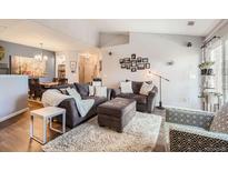 Comfortable living room featuring contemporary furniture, a plush rug, and stylish decor at 7409 S Alkire St # 304, Littleton, CO 80127