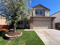 Inviting two-story home featuring a well-maintained lawn, mature tree, and attached two-car garage at 3186 W Indian Summer Ln, Castle Rock, CO 80109