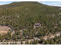 Stunning aerial view of a luxury home nestled within a dense forest setting at 8724 Armadillo Trl, Evergreen, CO 80439