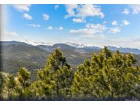 Scenic mountain view with lush greenery and snow-capped peaks in the distance, creating a serene and picturesque landscape at 8724 Armadillo Trl, Evergreen, CO 80439