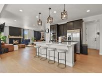 Modern open-concept kitchen with a center island, pendant lighting, and stainless steel appliances at 5446 Coltin Trl, Castle Rock, CO 80104
