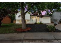 Charming two-story home with a well-maintained front yard and beautiful landscaping under the lush tree at 2108 S Idalia St, Aurora, CO 80013
