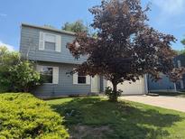 Charming two-story home with a well-maintained lawn and mature tree in a Gathering-friendly neighborhood at 10050 Holland Ct, Broomfield, CO 80021