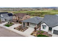 A lovely street view of three modern homes, each with unique architectural details and well-maintained landscaping at 9130 Fraser River, Littleton, CO 80125