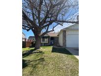 Charming home featuring a well-manicured lawn and a mature shade tree in the front yard at 12116 N Fairfax St, Thornton, CO 80241