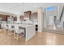 Open concept kitchen with large island, stainless appliances, and modern pendant lighting at 9395 Night Star Pl, Lone Tree, CO 80124