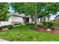 Charming single-story home with a well-manicured lawn and mature landscaping at 6776 Salvia Ct, Arvada, CO 80007