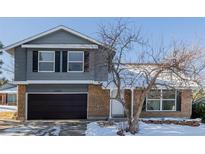 Two-story house with gray siding, brown brick, and a two-car garage at 11085 Utica Ct, Westminster, CO 80031